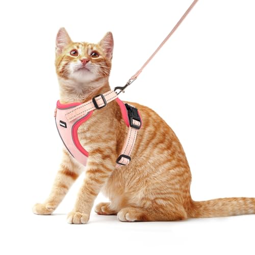 Rttochfy Hundegeschirr für kleine und mittelgroße Hunde – kein Ziehen Hundegeschirr und Leine Set – einfach anzulegen und verstellbar – Welpengeschirr mit reflektierenden Streifen zum Spazierengehen – Rttochfy Hundegeschirr für kleine und mittelgroße Hunde – kein Ziehen Hundegeschirr und Leine Set – einfach anzulegen und verstellbar – Welpengeschirr mit reflektierenden Streifen zum Spazierengehen – von Rttochfy
