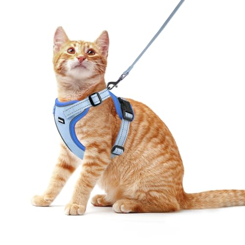 Rttochfy Hundegeschirr für kleine und mittelgroße Hunde – kein Ziehen Hundegeschirr und Leine Set – einfach anzulegen und verstellbar – Welpengeschirr mit reflektierenden Streifen zum Spazierengehen – Rttochfy Hundegeschirr für kleine und mittelgroße Hunde – kein Ziehen Hundegeschirr und Leine Set – einfach anzulegen und verstellbar – Welpengeschirr mit reflektierenden Streifen zum Spazierengehen – von Rttochfy