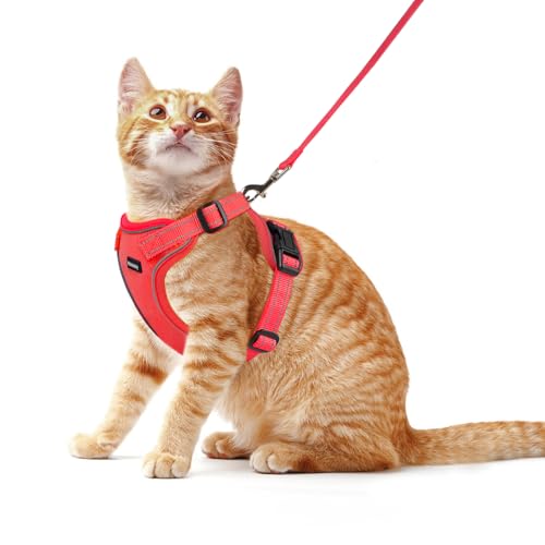 Rttochfy Hundegeschirr und Leine: kein Ziehen, verstellbar, reflektierend, Service-Hundeweste, weiches Netzgewebe, Welpen-Hundegeschirr mit Gepolstert für kleine, mittelgroße Hunde und Katzen (rot, M (54,1 cm ~ 63,8 cm)) Rttochfy Hundegeschirr und Leine: kein Ziehen, verstellbar, reflektierend, Service-Hundeweste, weiches Netzgewebe, Welpen-Hundegeschirr mit Gepolstert für kleine, mittelgroße Hunde und Katzen (rot, M (54,1 cm ~ 63,8 cm)) von Rttochfy