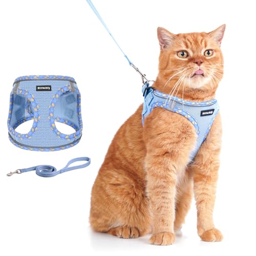 Rttochfy Katzengeschirr und Leine, ausbruchsicheres Kätzchengeschirr, weiche und atmungsaktive Weste mit reflektierenden Streifen, einfach zu tragen, für Spaziergänge und Reisen mit Katzen, Blau, Rttochfy Katzengeschirr und Leine, ausbruchsicheres Kätzchengeschirr, weiche und atmungsaktive Weste mit reflektierenden Streifen, einfach zu tragen, für Spaziergänge und Reisen mit Katzen, Blau, von Rttochfy