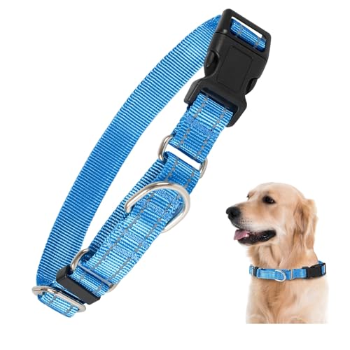 Rttochfy Martingale Halsband für Hunde, reflektierendes und verstellbares Nylon-Hundehalsband mit Schnellverschluss-Schnalle, kein Ziehen, Hundetrainingshalsband für kleine, mittelgroße und große Rttochfy Martingale Halsband für Hunde, reflektierendes und verstellbares Nylon-Hundehalsband mit Schnellverschluss-Schnalle, kein Ziehen, Hundetrainingshalsband für kleine, mittelgroße und große von Rttochfy