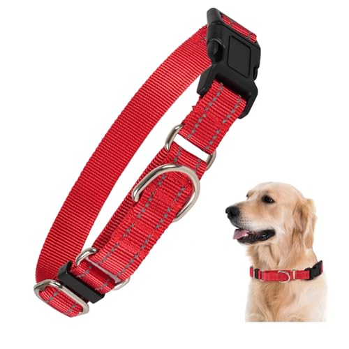 Rttochfy Martingale Halsband für Hunde, reflektierendes und verstellbares Nylon-Hundehalsband mit Schnellverschluss-Schnalle, kein Ziehen, Hundetrainingshalsband für kleine, mittelgroße und große Rttochfy Martingale Halsband für Hunde, reflektierendes und verstellbares Nylon-Hundehalsband mit Schnellverschluss-Schnalle, kein Ziehen, Hundetrainingshalsband für kleine, mittelgroße und große von Rttochfy