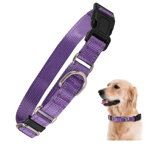 Rttochfy Martingale Halsband für Hunde, reflektierendes und verstellbares Nylon-Hundehalsband mit Schnellverschluss-Schnalle, kein Ziehen, Hundetrainingshalsband für kleine, mittelgroße und große Rttochfy Martingale Halsband für Hunde, reflektierendes und verstellbares Nylon-Hundehalsband mit Schnellverschluss-Schnalle, kein Ziehen, Hundetrainingshalsband für kleine, mittelgroße und große von Rttochfy