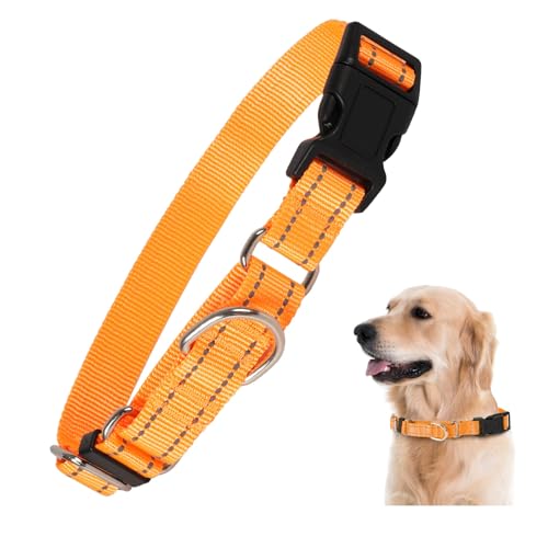 Rttochfy Martingale Halsband für Hunde, reflektierendes und verstellbares Nylon-Hundehalsband mit Schnellverschluss-Schnalle, kein Ziehen, Hundetrainingshalsband für kleine, mittelgroße und große von Rttochfy