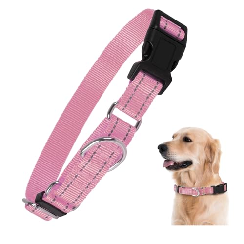 Rttochfy Martingale Halsband für Hunde, reflektierendes und verstellbares Nylon-Hundehalsband mit Schnellverschluss-Schnalle, kein Ziehen, Hundetrainingshalsband für kleine, mittelgroße und große von Rttochfy