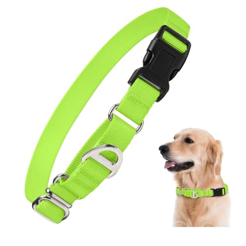 Rttochfy Martingale Halsband für Hunde, verstellbares Nylon-Hundehalsband mit Schnellverschluss-Schnalle, kein Ziehen, Hundetrainingshalsband für kleine, mittelgroße und große Hunde (Neongrün, L) von Rttochfy