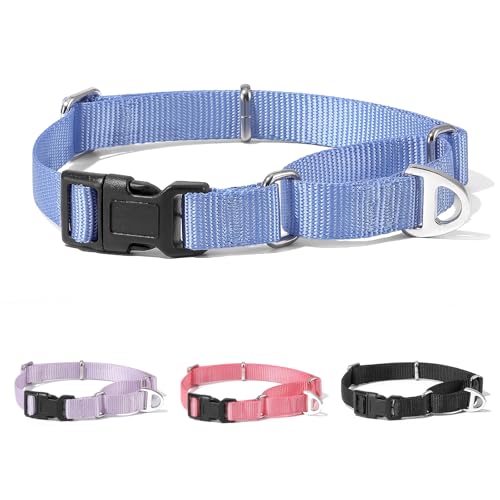 Rttochfy Martingale Hundehalsbänder, verstellbares Nylon-Hundehalsband mit Schnellverschluss-Schnalle, kein Würgen, Trainingshalsband für kleine, mittelgroße und große Hunde (Blau, S) von Rttochfy