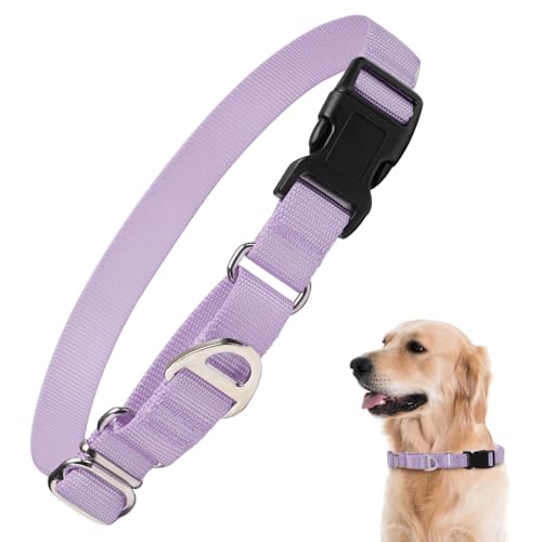 Rttochfy Martingale Hundehalsbänder, verstellbares Nylon-Hundehalsband mit Schnellverschluss-Schnalle, kein Würgen, Trainingshalsband für kleine, mittelgroße und große Hunde (Lila, L) von Rttochfy