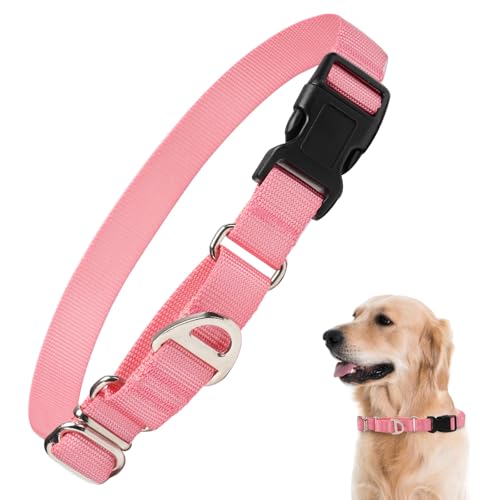 Rttochfy Martingale Hundehalsbänder, verstellbares Nylon-Hundehalsband mit Schnellverschluss-Schnalle, kein Würgen, Trainingshalsband für kleine, mittelgroße und große Hunde (Rosa, M) von Rttochfy