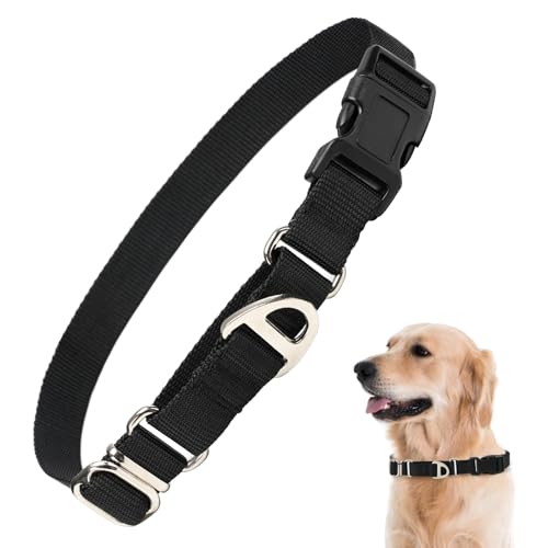 Rttochfy Martingale Hundehalsbänder, verstellbares Nylon-Hundehalsband mit Schnellverschluss-Schnalle, kein Würgen, Trainingshalsband für kleine, mittelgroße und große Hunde (Schwarz, M) von Rttochfy