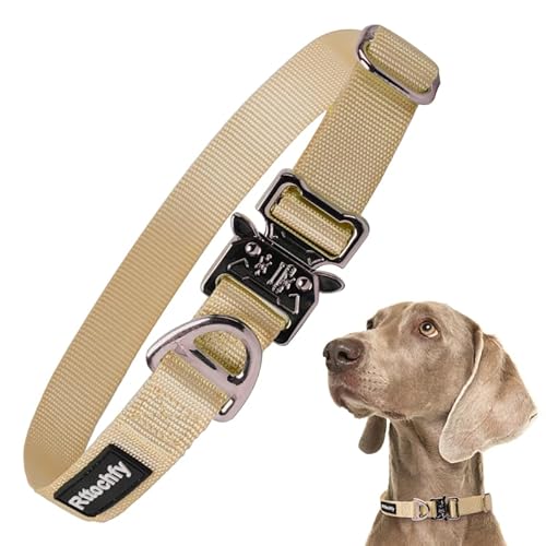 Rttochfy Premium Taktisches Hundehalsband, verstellbare und Schnellverschluss-Metallschnalle, robustes Hundehalsband für kleine, mittelgroße und große Hunderassen (Braun, M) von Rttochfy