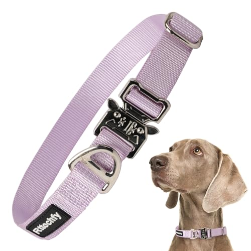 Rttochfy Premium Taktisches Hundehalsband, verstellbare und Schnellverschluss-Metallschnalle, robustes Hundehalsband für kleine, mittelgroße und große Hunderassen (Lila, M) von Rttochfy