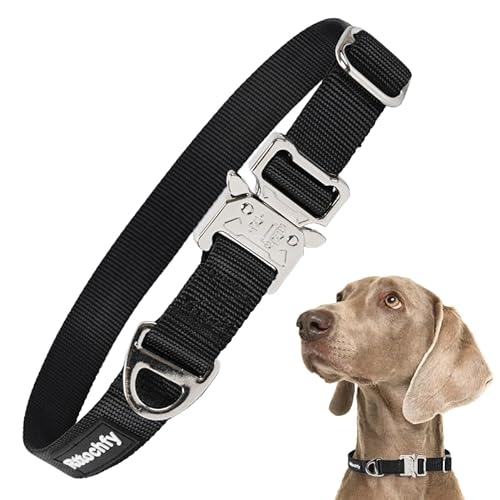 Rttochfy Premium Taktisches Hundehalsband, verstellbare und Schnellverschluss-Metallschnalle, robustes Hundehalsband für kleine, mittelgroße und große Hunderassen (Schwarz, M) von Rttochfy