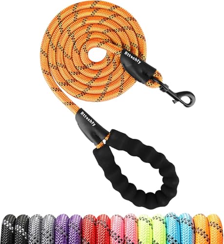 Strapazierfähige Hundeleine, 6,2 m, 1,5 m, 1,8 m, 2 m, 2 m, 3 m, mit bequemem, gepolstertem Griff und reflektierend, Welpen-Trainingsleine für kleine, mittelgroße und große Rassen, 1,9 cm x 1,5 m, 1,5 Strapazierfähige Hundeleine, 6,2 m, 1,5 m, 1,8 m, 2 m, 2 m, 3 m, mit bequemem, gepolstertem Griff und reflektierend, Welpen-Trainingsleine für kleine, mittelgroße und große Rassen, 1,9 cm x 1,5 m, 1,5 von Rttochfy