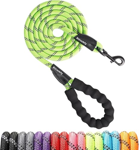 Strapazierfähige Hundeleine, 6,2 m, 1,5 m, 1,8 m, 2 m, 2 m, 3 m, mit bequemem, gepolstertem Griff und reflektierend, Welpen-Trainingsleine für kleine, mittelgroße und große Rassen, 1,9 cm x 1,5 m, 1,5 Strapazierfähige Hundeleine, 6,2 m, 1,5 m, 1,8 m, 2 m, 2 m, 3 m, mit bequemem, gepolstertem Griff und reflektierend, Welpen-Trainingsleine für kleine, mittelgroße und große Rassen, 1,9 cm x 1,5 m, 1,5 von Rttochfy