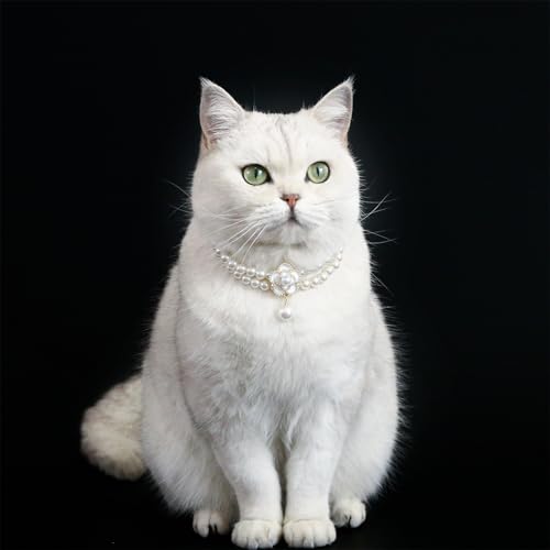 5 schöne Perlen-Anhänger, Blumenhalskette, modisches Prinzessinnenhalsband, Weihnachtsmotiv, Haustierzubehör, Katzen-Halskette von Ruarby