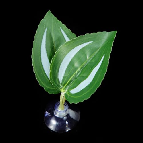Bettas Leaf Hängematte Saugnapf Laubbett ruhendes Blatt für sichere Umgebung Fisch Laichplatz Aquarien Dekoration Aquarien Dekoration von Ruarby