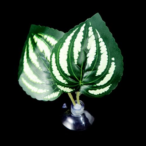 Bettas Leaf Hängematte Saugnapf Laubbett ruhendes Blatt für sichere Umgebung Fisch Laichplatz Aquarien Dekoration Aquarien Dekoration Bettas Leaf Hängematte Saugnapf Laubbett ruhendes Blatt für sichere Umgebung Fisch Laichplatz Aquarien Dekoration Aquarien Dekoration von Ruarby