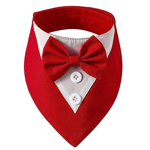 Elegantes Halsband für Hunde und Katzen, mit Fliege, Halstuch, Anzughalsband, Halskette, Halsband BigGirl, Hundehalsband von Ruarby