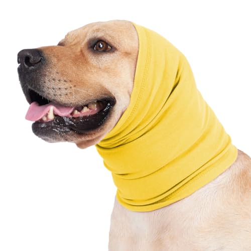 Gehörschutz für Hunde Komfort und Komfort in ängstlichen Situationen wie Gewitter oder Gehörschutz für Hunde Komfort und Komfort in ängstlichen Situationen wie Gewitter oder von Ruarby