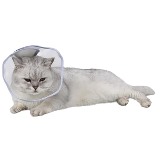 Strapazierfähigkeit und Flexibilität, speziell für Katzen, bietet langfristige Unterstützung postoperativ Strapazierfähigkeit und Flexibilität, speziell für Katzen, bietet langfristige Unterstützung postoperativ von Ruarby