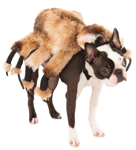 Rubie's Official 580358L Riesenspinne, Halloween-Kostüm, für Hunde, Haustier, Braun, Größe L, Hals bis Schwanz 55,9 cm, Brust 50,8 cm Rubie's Official 580358L Riesenspinne, Halloween-Kostüm, für Hunde, Haustier, Braun, Größe L, Hals bis Schwanz 55,9 cm, Brust 50,8 cm von Rubie's