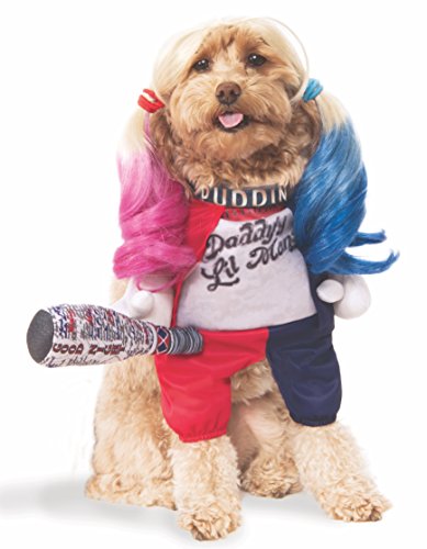 Rubies DC Comics Suicide Squad Walking Harley Quinn Haustierkostüm, Medium für Motto-Partys und Halloween Rubies DC Comics Suicide Squad Walking Harley Quinn Haustierkostüm, Medium für Motto-Partys und Halloween von Rubie's