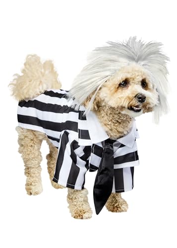 Rubie‘s Official Beetlejuice-Kostüm für Hunde, Größe S Halloween Rubie‘s Official Beetlejuice-Kostüm für Hunde, Größe S Halloween von Rubie's