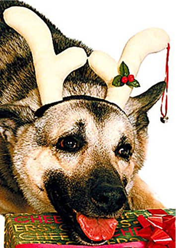 Rudolf Weihnachtskostüm Rentier Geweih für Haustier Hund Rudolf Weihnachtskostüm Rentier Geweih für Haustier Hund von Rubie's