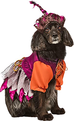 Rubies Disney Hocus Pocus Mary Sanderson Haustierkostüm und Perücke, wie abgebildet, groß für Mottopartys und Halloween Rubies Disney Hocus Pocus Mary Sanderson Haustierkostüm und Perücke, wie abgebildet, groß für Mottopartys und Halloween von Rubies