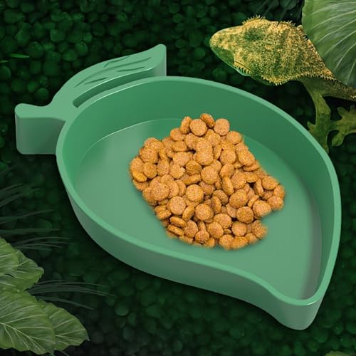 3 Stück Mango Reptilien Wasserschale, Futterschale, Reptilien Schildkröte Futternapf Flach Trinkschale Wasserschale für Eidechsen, Hamster, Schlangen (Grün) von Rubu22a