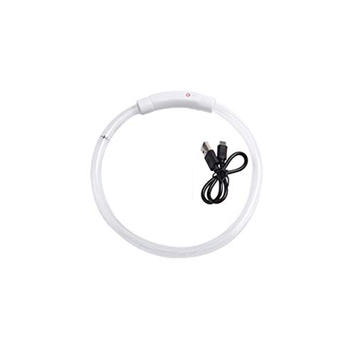 Leuchthalsband Hund, 50cm USB-Ladung Hundehalsband Leuchtend, Hundehalsband Leuchtend, Leuchtband Hund, Hundeleuchthalsbänder, Led Halsband für Hunde Leuchthalsband Hund, 50cm USB-Ladung Hundehalsband Leuchtend, Hundehalsband Leuchtend, Leuchtband Hund, Hundeleuchthalsbänder, Led Halsband für Hunde von Rubu22a