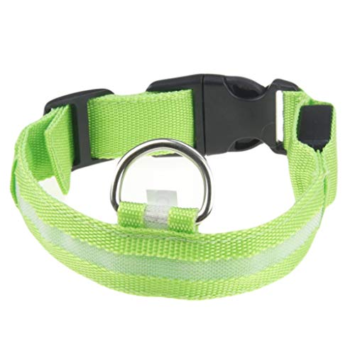 Leuchthalsband Hund, Batterien Hundehalsband Leuchtend, Hundehalsband Leuchtend, Leuchtband Hund, Hundeleuchthalsbänder, Led Halsband für Hunde von Rubu22a