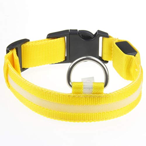 Leuchthalsband Hund, Batterien Hundehalsband Leuchtend, Hundehalsband Leuchtend, Leuchtband Hund, Hundeleuchthalsbänder, Led Halsband für Hunde von Rubu22a