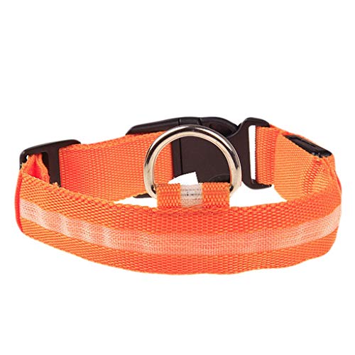 Leuchthalsband Hund, Batterien Hundehalsband Leuchtend, Hundehalsband Leuchtend, Leuchtband Hund, Hundeleuchthalsbänder, Led Halsband für Hunde Leuchthalsband Hund, Batterien Hundehalsband Leuchtend, Hundehalsband Leuchtend, Leuchtband Hund, Hundeleuchthalsbänder, Led Halsband für Hunde von Rubu22a