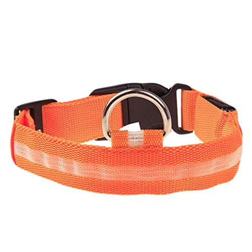 Leuchthalsband Hund, Batterien Hundehalsband Leuchtend, Hundehalsband Leuchtend, Leuchtband Hund, Hundeleuchthalsbänder, Led Halsband für Hunde von Rubu22a