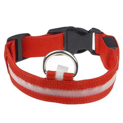 Leuchthalsband Hund, Batterien Hundehalsband Leuchtend, Hundehalsband Leuchtend, Leuchtband Hund, Hundeleuchthalsbänder, Led Halsband für Hunde von Rubu22a