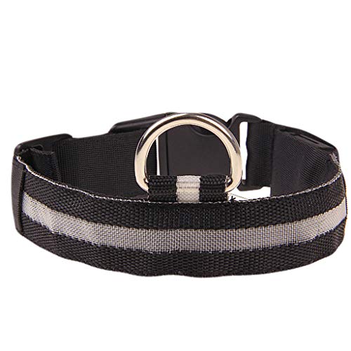 Leuchthalsband Hund, Batterien Hundehalsband Leuchtend, Hundehalsband Leuchtend, Leuchtband Hund, Hundeleuchthalsbänder, Led Halsband für Hunde von Rubu22a