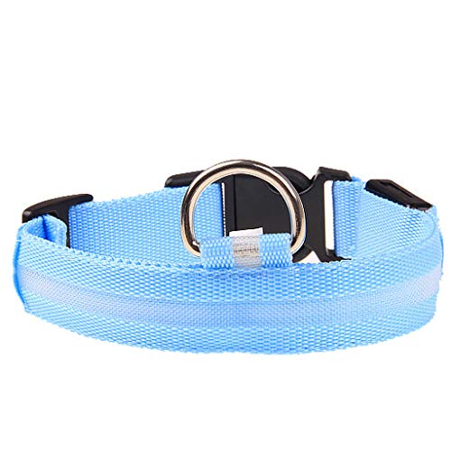 Leuchthalsband Hund, Batterien Hundehalsband Leuchtend, Hundehalsband Leuchtend, Leuchtband Hund, Hundeleuchthalsbänder, Led Halsband für Hunde von Rubu22a