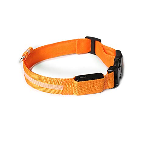 Rubu22a Leuchthalsband Hund, Nylon Einstellbar Hundehalsband Leuchtend, Hundehalsband Leuchtend, Leuchtband Hund, Hundeleuchthalsbänder, Led Halsband für Hunde Rubu22a Leuchthalsband Hund, Nylon Einstellbar Hundehalsband Leuchtend, Hundehalsband Leuchtend, Leuchtband Hund, Hundeleuchthalsbänder, Led Halsband für Hunde von Rubu22a