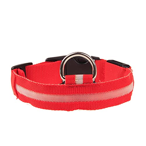 Rubu22a Leuchthalsband Hund, Nylon Einstellbar Hundehalsband Leuchtend, Hundehalsband Leuchtend, Leuchtband Hund, Led Halsband für Hunde, Hundeleuchthalsbänder Rubu22a Leuchthalsband Hund, Nylon Einstellbar Hundehalsband Leuchtend, Hundehalsband Leuchtend, Leuchtband Hund, Led Halsband für Hunde, Hundeleuchthalsbänder von Rubu22a