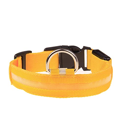 Rubu22a Leuchthalsband Hund, Nylon Einstellbar Hundehalsband Leuchtend, Hundehalsband Leuchtend, Leuchtband Hund, Led Halsband für Hunde, Hundeleuchthalsbänder Rubu22a Leuchthalsband Hund, Nylon Einstellbar Hundehalsband Leuchtend, Hundehalsband Leuchtend, Leuchtband Hund, Led Halsband für Hunde, Hundeleuchthalsbänder von Rubu22a