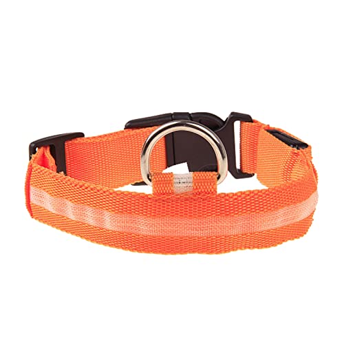 Rubu22a Leuchthalsband Hund, Nylon Einstellbar Hundehalsband Leuchtend, Hundehalsband Leuchtend, Leuchtband Hund, Led Halsband für Hunde, Hundeleuchthalsbänder Rubu22a Leuchthalsband Hund, Nylon Einstellbar Hundehalsband Leuchtend, Hundehalsband Leuchtend, Leuchtband Hund, Led Halsband für Hunde, Hundeleuchthalsbänder von Rubu22a