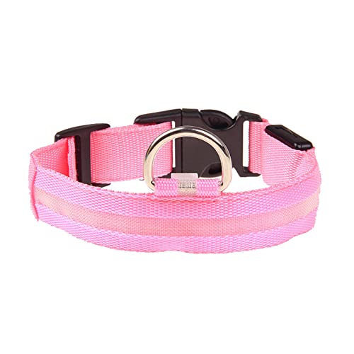 Rubu22a Leuchthalsband Hund, Nylon Einstellbar Hundehalsband Leuchtend, Hundehalsband Leuchtend, Leuchtband Hund, Led Halsband für Hunde, Hundeleuchthalsbänder Rubu22a Leuchthalsband Hund, Nylon Einstellbar Hundehalsband Leuchtend, Hundehalsband Leuchtend, Leuchtband Hund, Led Halsband für Hunde, Hundeleuchthalsbänder von Rubu22a