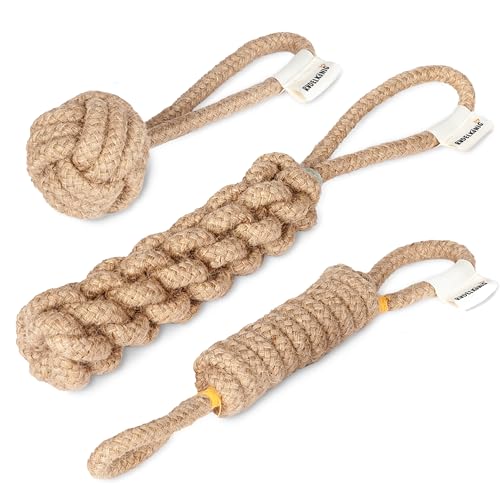 Rudelkönig Hundespielzeug Seil - 3er Set Zerrspielzeug Hund - Hundeseil aus 100% natürlicher Baumwolle - Seilspielzeug für Hunde Rudelkönig Hundespielzeug Seil - 3er Set Zerrspielzeug Hund - Hundeseil aus 100% natürlicher Baumwolle - Seilspielzeug für Hunde von Rudelkönig