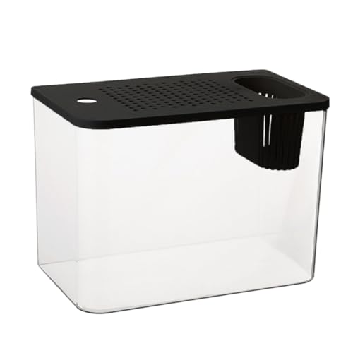 Rudiaoa Transparente Aquarien mit sicherem Deckel und Wasserpflanzenhalter für Goldfische, Heimdekoration, Aquarien, Aquarien von Rudiaoa