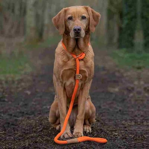 Hundeleinen - Mandarine - dicke Retrieverleine Hundeleinen - Mandarine - dicke Retrieverleine von Ruff and Tumble