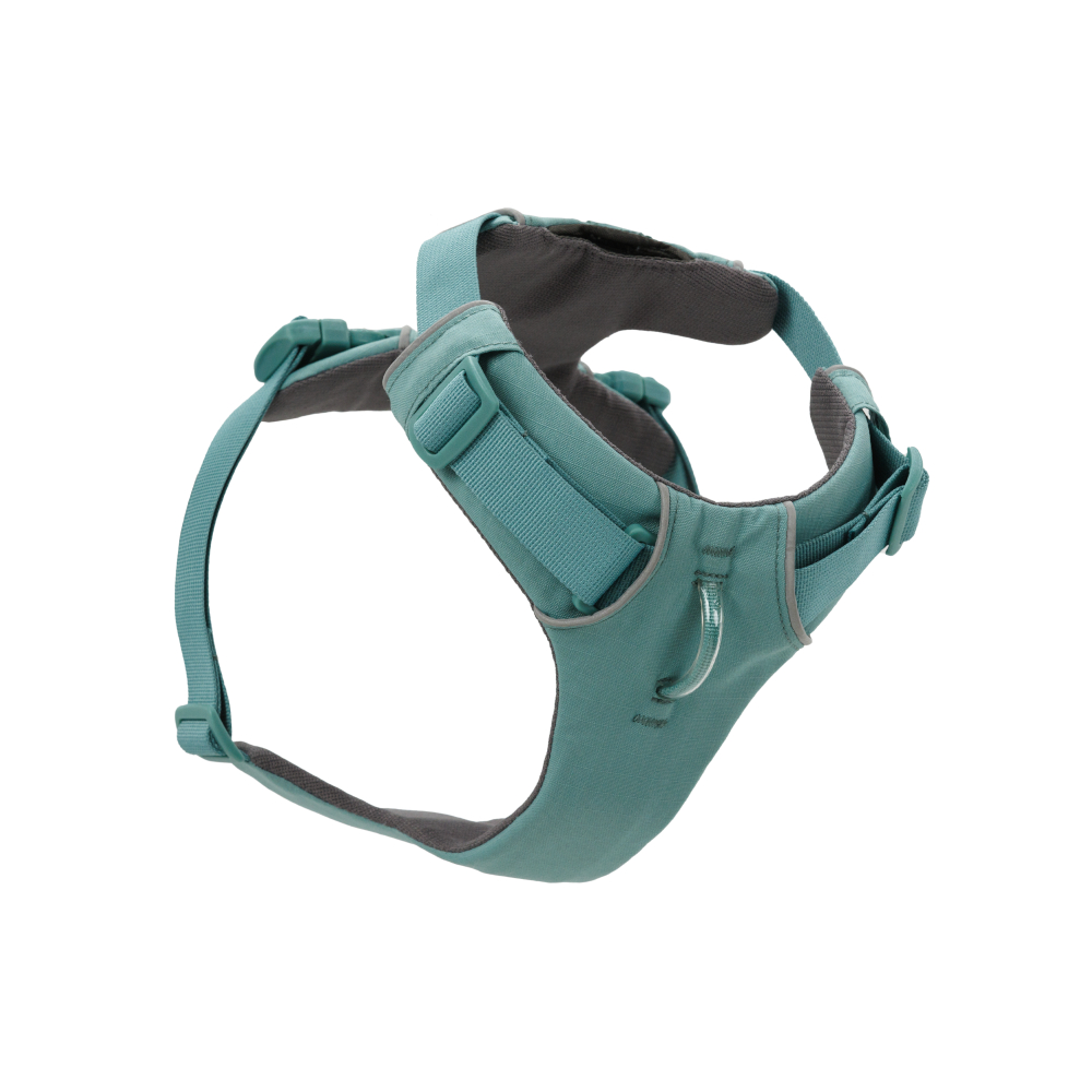 Ruffwear Front Range Hundegeschirr, River Rock Grün - Größe XS: 43 - 56 cm Brustumfang Ruffwear Front Range Hundegeschirr, River Rock Grün - Größe XS: 43 - 56 cm Brustumfang von Ruffwear