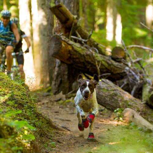 Ruffwear Grip Trex Boots - XXXS - Obsidian Black - 2er set von Ruffwear