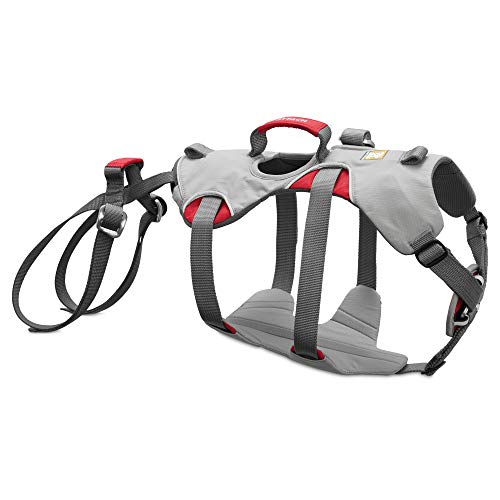 Ruffwear Kletter-Hundegeschirr, Große bis sehr große Hunderassen, Größenverstellbar, Größe: L/XL, Grau, Doubleback Geschirr, 30301-045LL1 Ruffwear Kletter-Hundegeschirr, Große bis sehr große Hunderassen, Größenverstellbar, Größe: L/XL, Grau, Doubleback Geschirr, 30301-045LL1 von RUFFWEAR